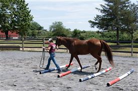 LR-WRF 08022025-Retreat-3290